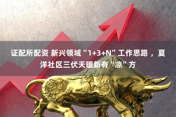 证配所配资 新兴领域“1+3+N”工作思路 ，夏洋社区三伏天暖新有“凉”方