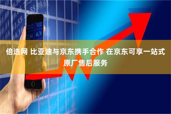 倍选网 比亚迪与京东携手合作 在京东可享一站式原厂售后服务