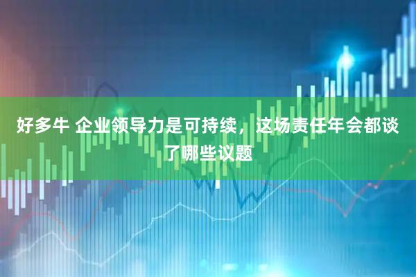 好多牛 企业领导力是可持续，这场责任年会都谈了哪些议题