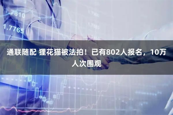 通联随配 狸花猫被法拍！已有802人报名，10万人次围观