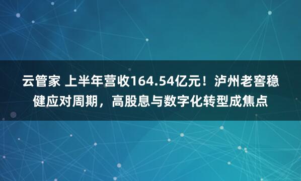 云管家 上半年营收164.54亿元！泸州老窖稳健应对周期，高股息与数字化转型成焦点
