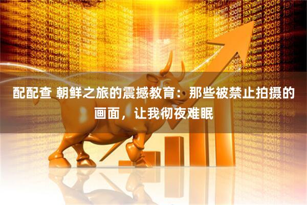 配配查 朝鲜之旅的震撼教育：那些被禁止拍摄的画面，让我彻夜难眠