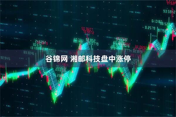 谷锦网 湘邮科技盘中涨停